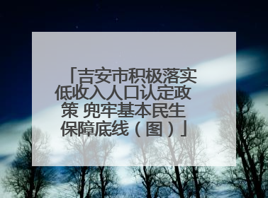 吉安市积极落实低收入人口认定政策 兜牢基本民生保障底线（图）