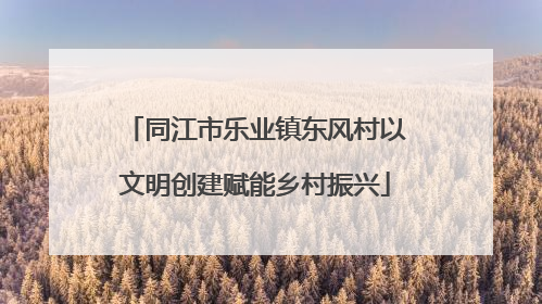 同江市乐业镇东风村以文明创建赋能乡村振兴