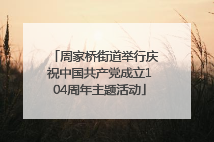 周家桥街道举行庆祝中国共产党成立104周年主题活动