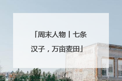周末人物丨七条汉子，万亩麦田