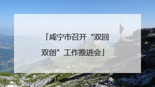 咸宁市召开“双回双创”工作推进会