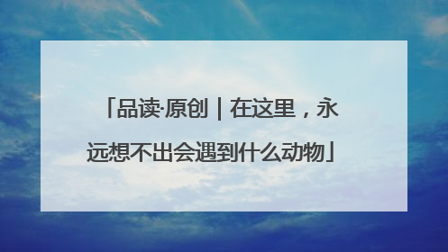 品读·原创｜在这里，永远想不出会遇到什么动物