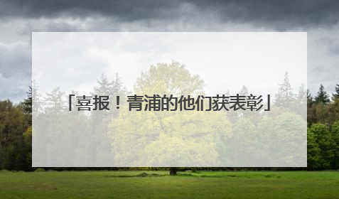 喜报！青浦的他们获表彰