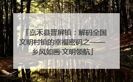 嘉禾县晋屏镇：解码全国文明村镇的幸福密码之——乡风如画·文明领航