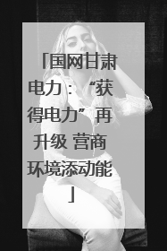 国网甘肃电力：“获得电力”再升级 营商环境添动能