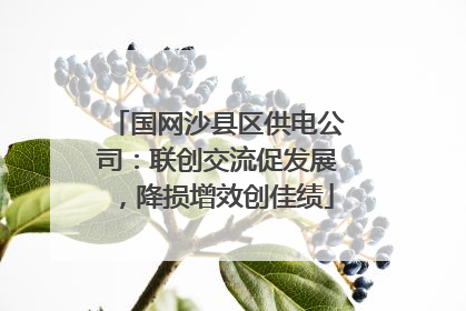 国网沙县区供电公司：联创交流促发展，降损增效创佳绩