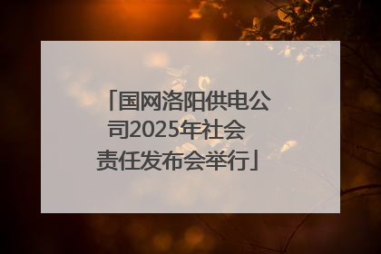 国网洛阳供电公司2025年社会责任发布会举行
