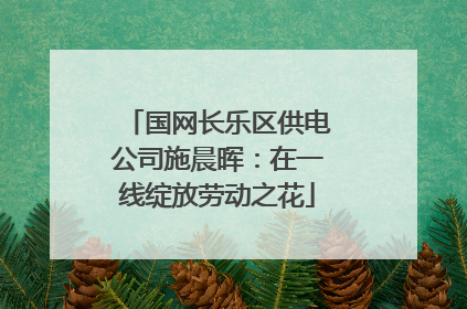 国网长乐区供电公司施晨晖：在一线绽放劳动之花
