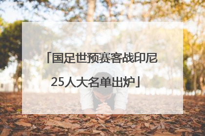 国足世预赛客战印尼25人大名单出炉