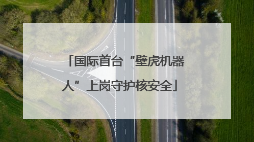 国际首台“壁虎机器人”上岗守护核安全