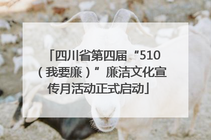 四川省第四届“510（我要廉）”廉洁文化宣传月活动正式启动