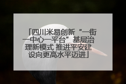四川米易创新“一街一中心一平台”基层治理新模式 推进平安建设向更高水平迈进