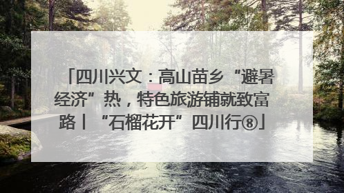 四川兴文：高山苗乡“避暑经济”热，特色旅游铺就致富路丨“石榴花开”四川行⑧
