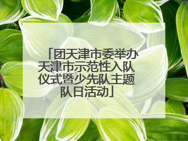 团天津市委举办天津市示范性入队仪式暨少先队主题队日活动