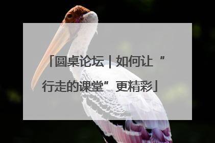 圆桌论坛｜如何让“行走的课堂”更精彩