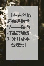 在古丝路起点拥抱世界——陕西打造高能级对外开放平台观察