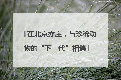 在北京亦庄，与珍稀动物的“下一代”相遇