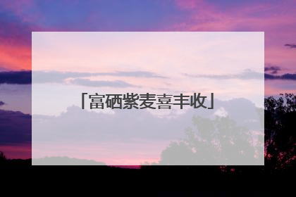 富硒紫麦喜丰收
