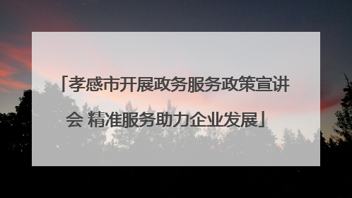 孝感市开展政务服务政策宣讲会 精准服务助力企业发展