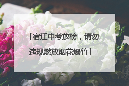 宿迁中考放榜，请勿违规燃放烟花爆竹