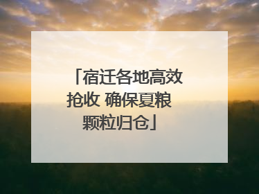 宿迁各地高效抢收 确保夏粮颗粒归仓