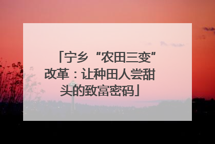 宁乡“农田三变”改革：让种田人尝甜头的致富密码
