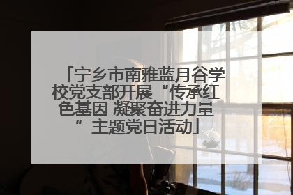宁乡市南雅蓝月谷学校党支部开展“传承红色基因 凝聚奋进力量”主题党日活动