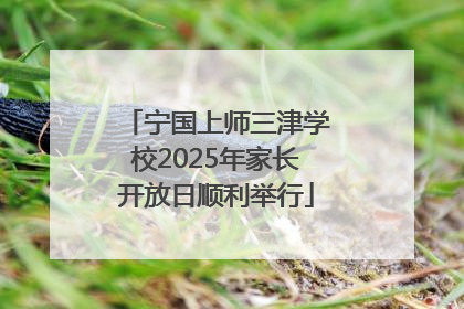 宁国上师三津学校2025年家长开放日顺利举行