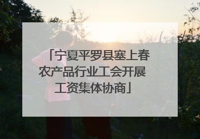 宁夏平罗县塞上春农产品行业工会开展工资集体协商