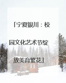 宁夏银川：校园文化艺术节绽放美育繁花