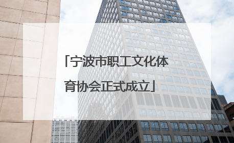 宁波市职工文化体育协会正式成立