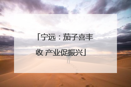 宁远：茄子喜丰收 产业促振兴
