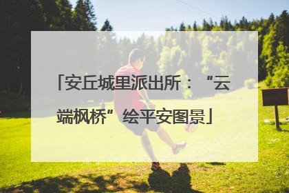 安丘城里派出所：“云端枫桥”绘平安图景