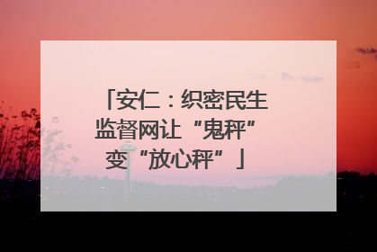 安仁：织密民生监督网让“鬼秤”变“放心秤”