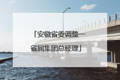 安徽省委调整一省属集团总经理