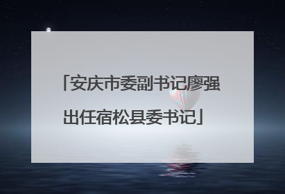 安庆市委副书记廖强出任宿松县委书记