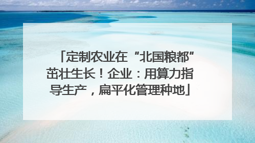 定制农业在“北国粮都”茁壮生长！企业：用算力指导生产，扁平化管理种地