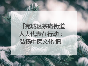 宛城区茶庵街道人大代表在行动：弘扬中医文化 把脉基层健康