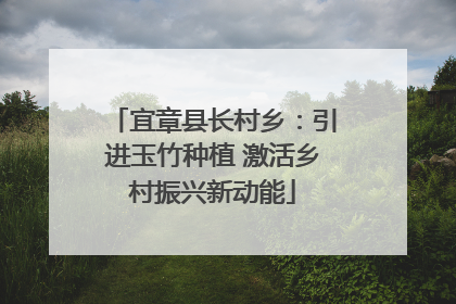 宜章县长村乡：引进玉竹种植 激活乡村振兴新动能
