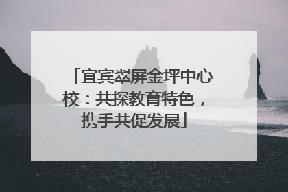 宜宾翠屏金坪中心校：共探教育特色，携手共促发展