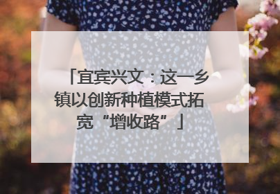 宜宾兴文：这一乡镇以创新种植模式拓宽“增收路”