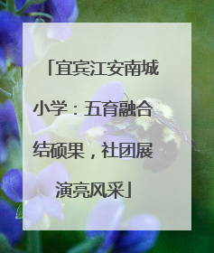 宜宾江安南城小学：五育融合结硕果，社团展演亮风采