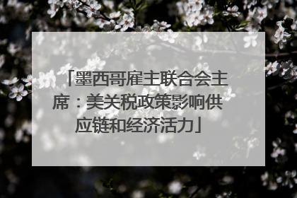 墨西哥雇主联合会主席：美关税政策影响供应链和经济活力