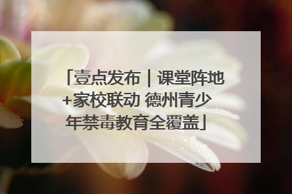 壹点发布｜课堂阵地+家校联动 德州青少年禁毒教育全覆盖