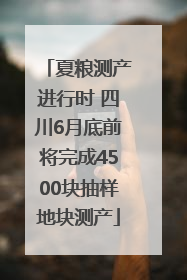 夏粮测产进行时 四川6月底前将完成4500块抽样地块测产