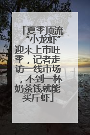 夏季顶流“小龙虾”迎来上市旺季,记者走访一线市场,不到一杯奶茶钱就能买斤虾