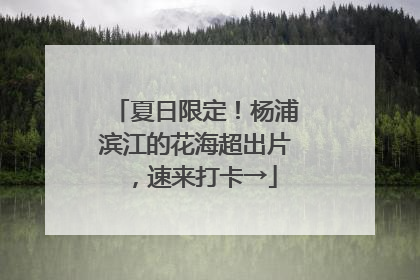 夏日限定！杨浦滨江的花海超出片，速来打卡→