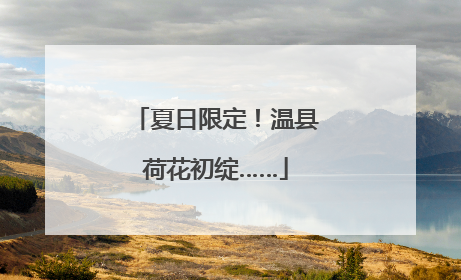 夏日限定！温县荷花初绽……