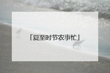 夏至时节农事忙