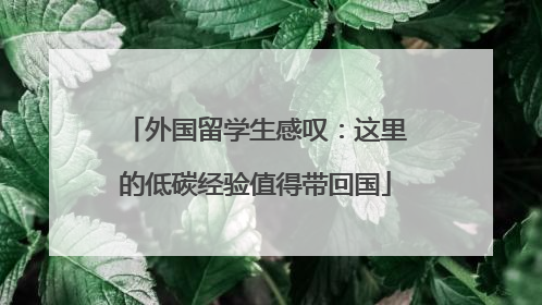 外国留学生感叹：这里的低碳经验值得带回国